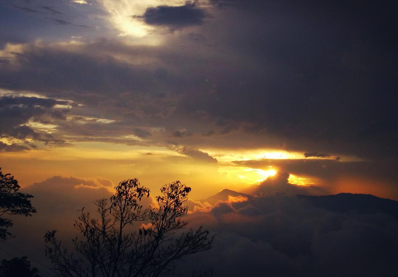 Family Homestay Kurseong Esterno foto